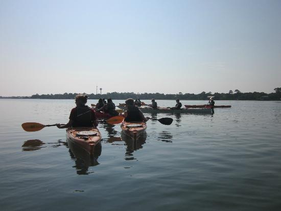 Flipper Finders Boat & Sea Kayak Tours