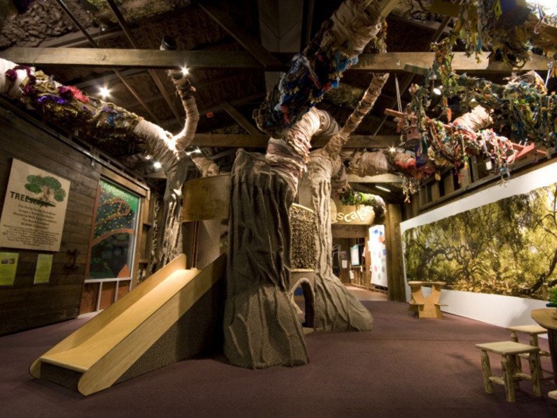 Children's Museum of the Lowcountry