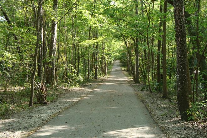 Black Creek Trail and Park